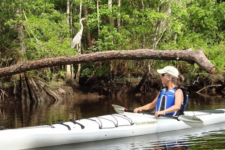 Amelia Island Area Kayak Rental on Lofton Creek with Adventures Up The Creek - Photo 1 of 6